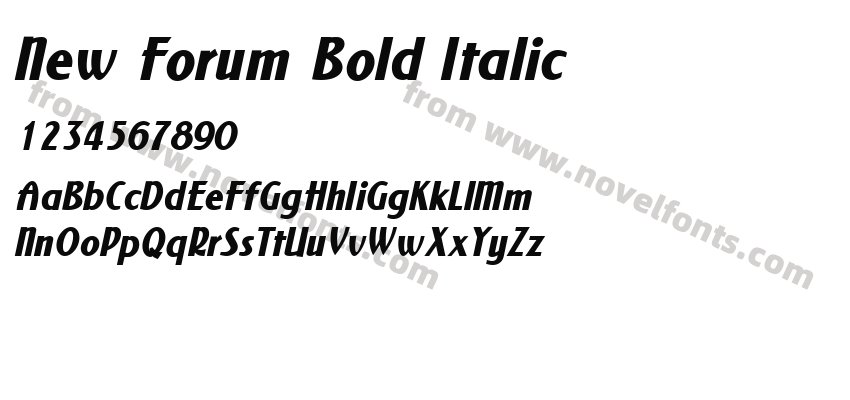 New Forum Bold ItalicPreview