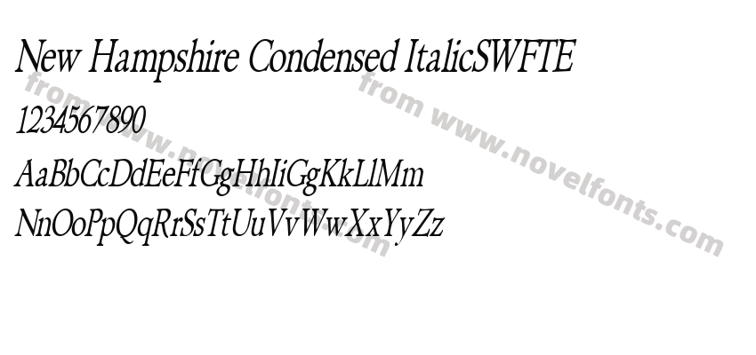 New Hampshire Condensed ItalicSWFTEPreview