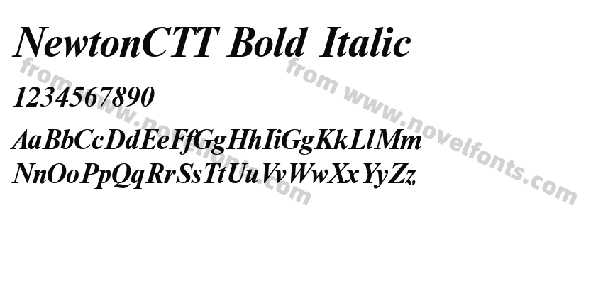 NewtonCTT Bold ItalicPreview