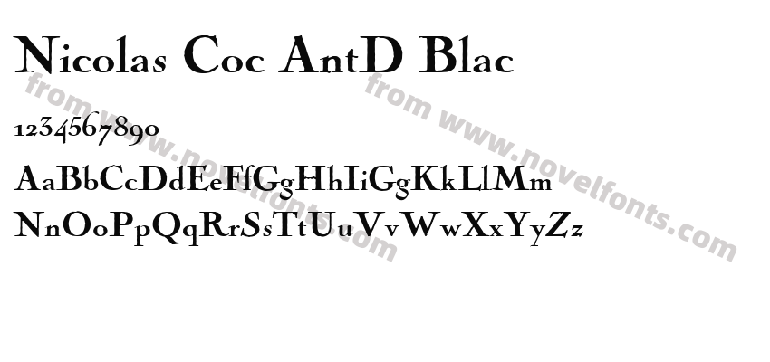 Nicolas Coc AntD BlacPreview