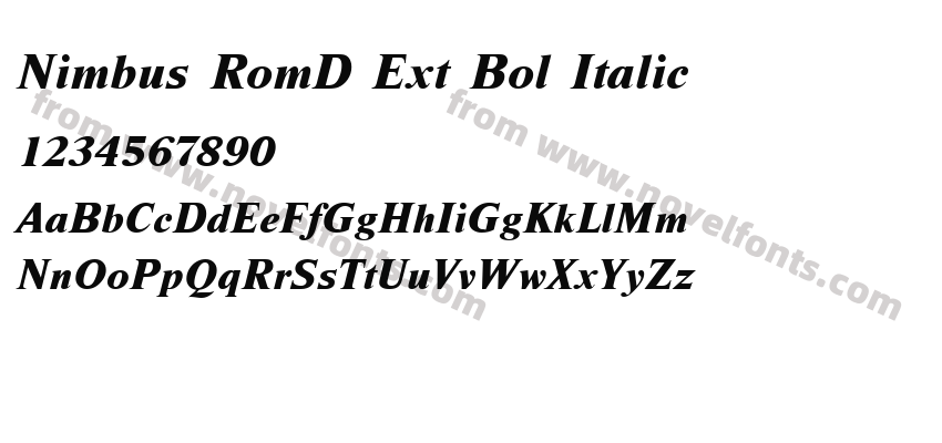 Nimbus RomD Ext Bol ItalicPreview