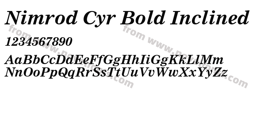 Nimrod Cyr Bold InclinedPreview