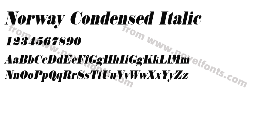 Norway Condensed ItalicPreview