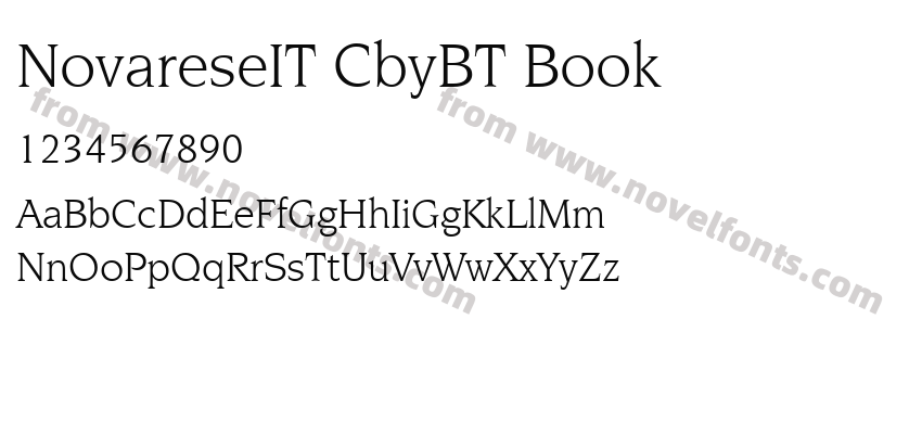 NovareseIT CbyBT BookPreview