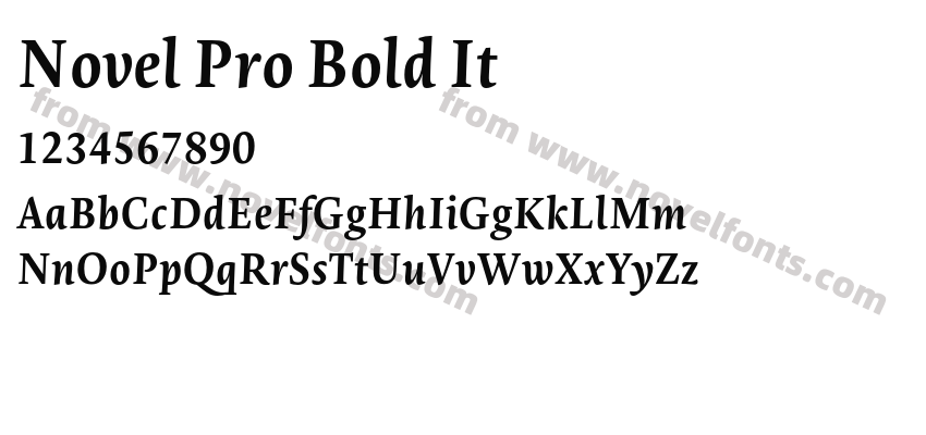 Novel Pro Bold ItPreview