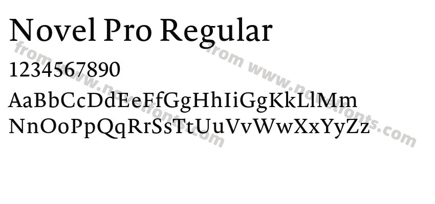 Novel Pro RegularPreview