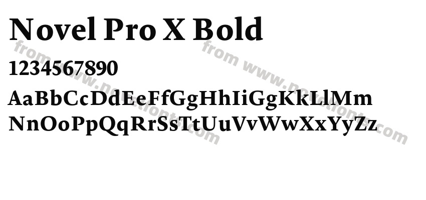 Novel Pro X BoldPreview