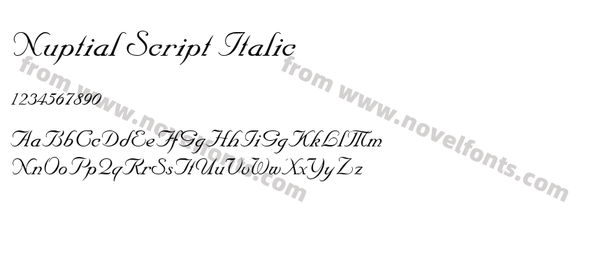 Nuptial Script ItalicPreview