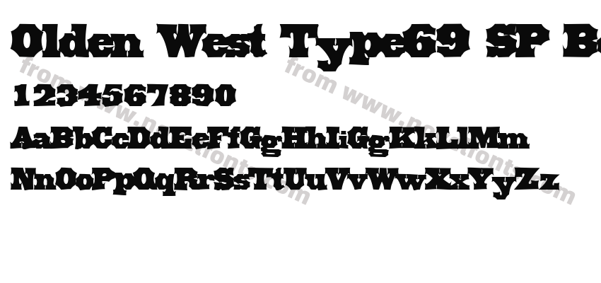 Olden West Type69 SP BoldPreview