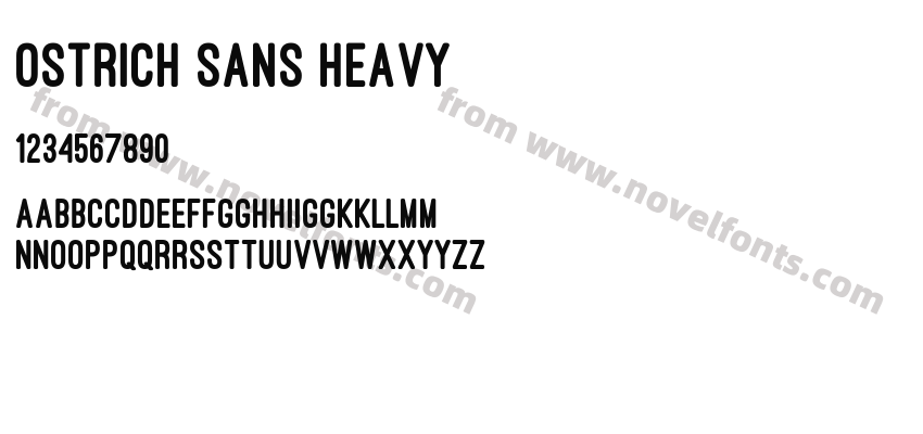 Ostrich Sans HeavyPreview