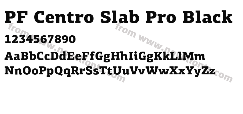 PF Centro Slab Pro BlackPreview