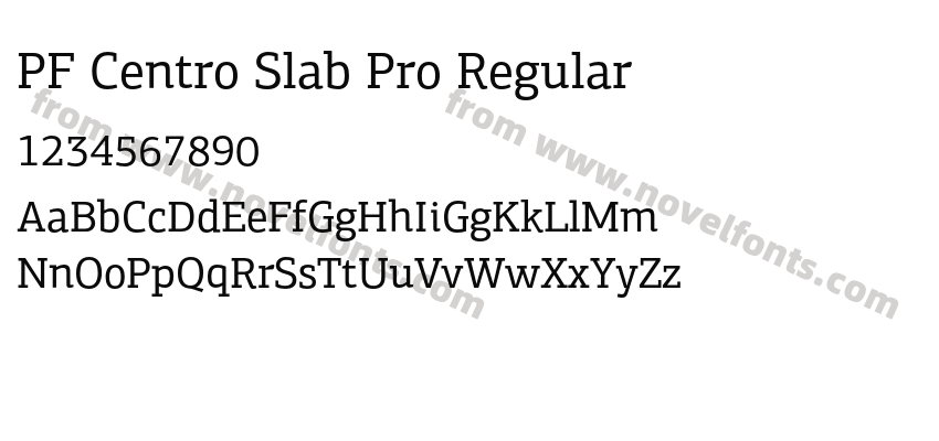 PF Centro Slab Pro RegularPreview