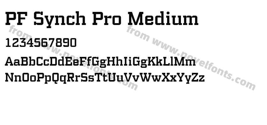 PF Synch Pro MediumPreview