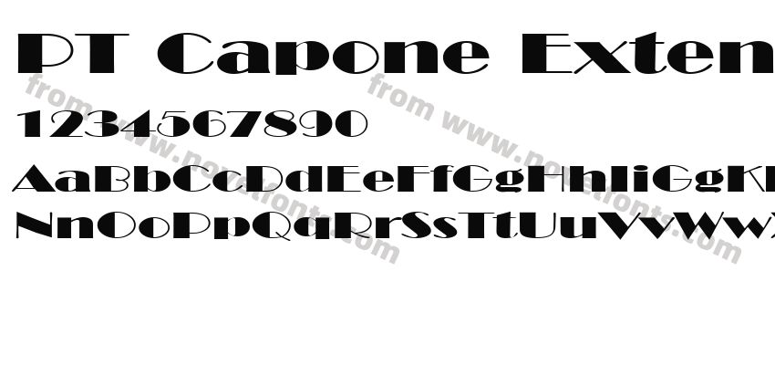 PT Capone ExtendedPreview