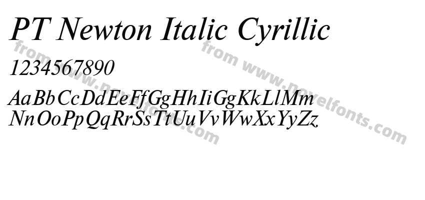 PT Newton Italic CyrillicPreview