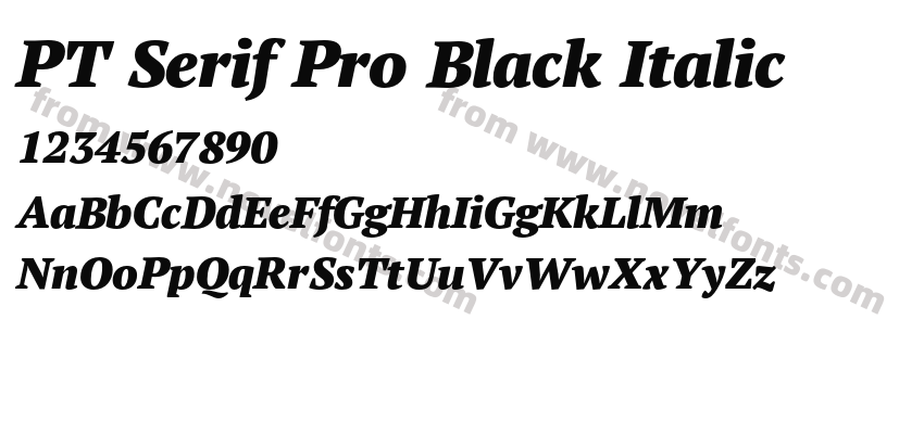 PT Serif Pro Black ItalicPreview