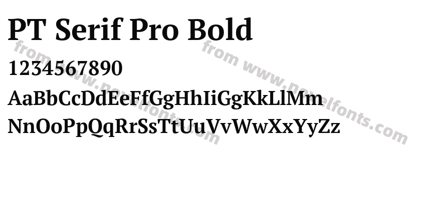 PT Serif Pro BoldPreview