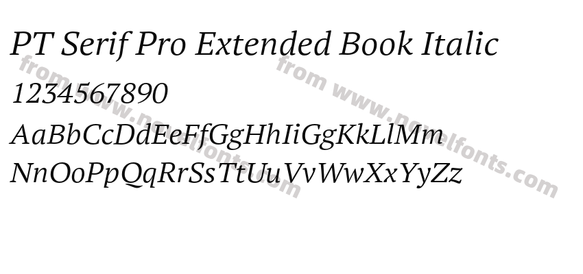 PT Serif Pro Extended Book ItalicPreview