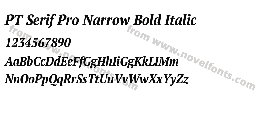 PT Serif Pro Narrow Bold ItalicPreview