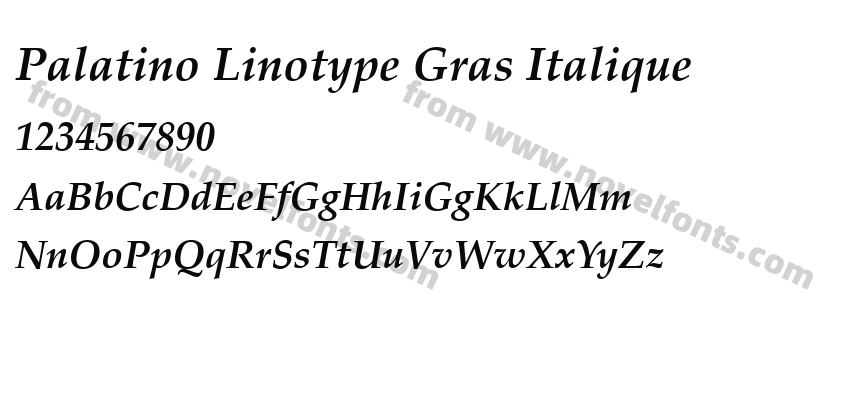 Palatino Linotype Gras ItaliquePreview