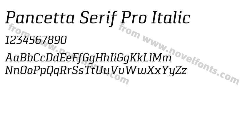 Pancetta Serif Pro ItalicPreview