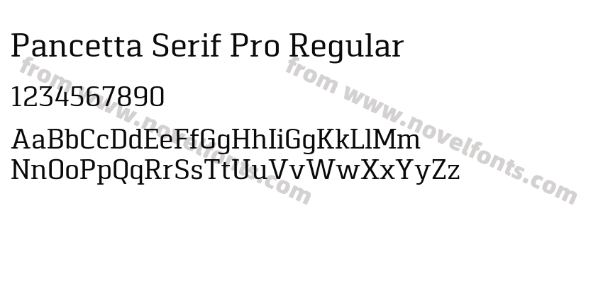 Pancetta Serif Pro RegularPreview