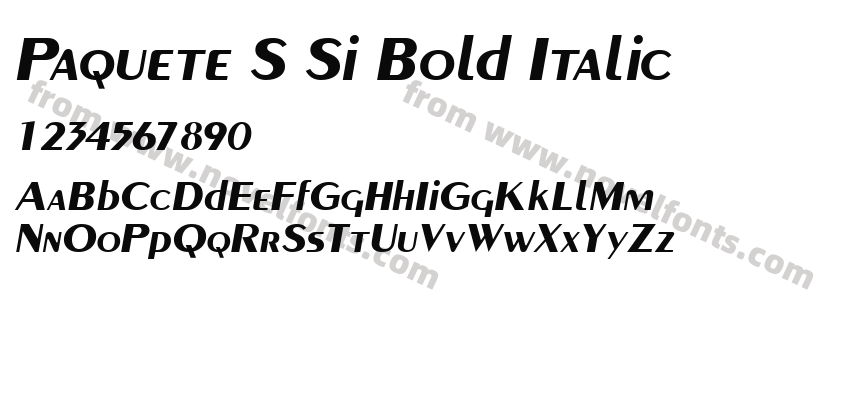 Paquete S Si Bold ItalicPreview