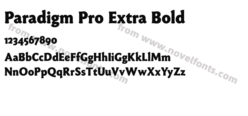 Paradigm Pro Extra BoldPreview