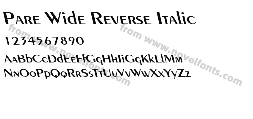 Pare Wide Reverse ItalicPreview