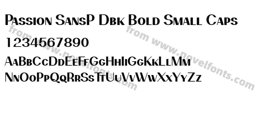 Passion SansP Dbk Bold Small CapsPreview