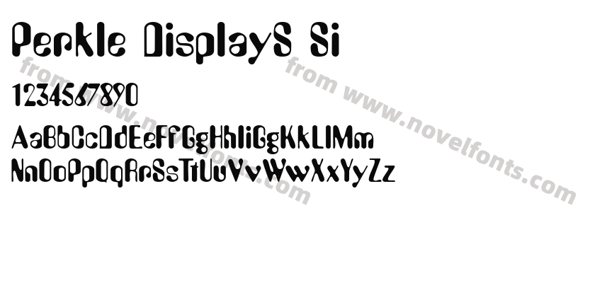 Perkle DisplayS SiPreview