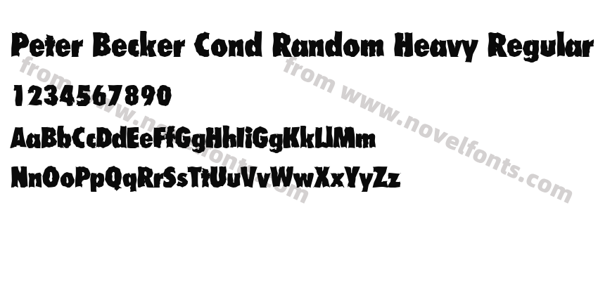 Peter Becker Cond Random Heavy RegularPreview