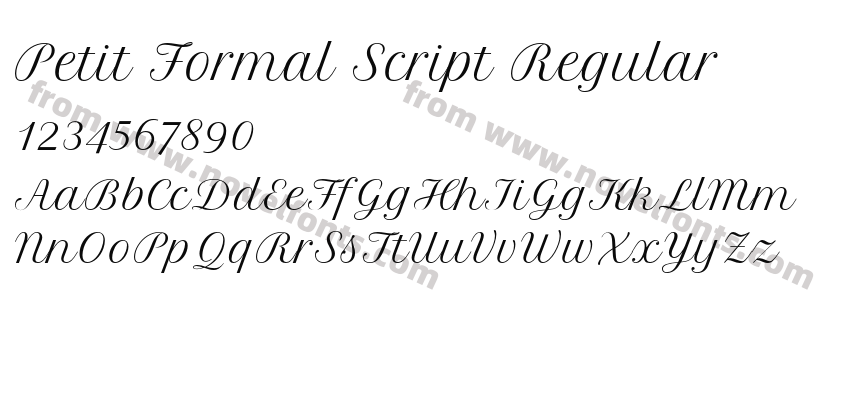 Petit Formal Script RegularPreview