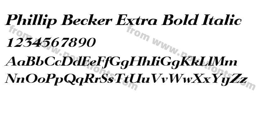 Phillip Becker Extra Bold ItalicPreview