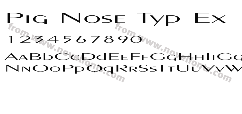 Pig Nose Typ ExPreview