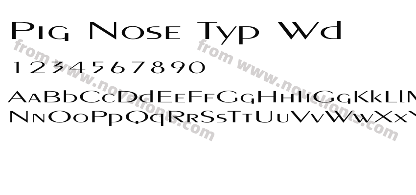 Pig Nose Typ WdPreview