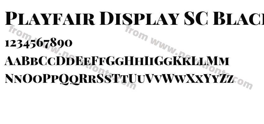 Playfair Display SC BlackPreview