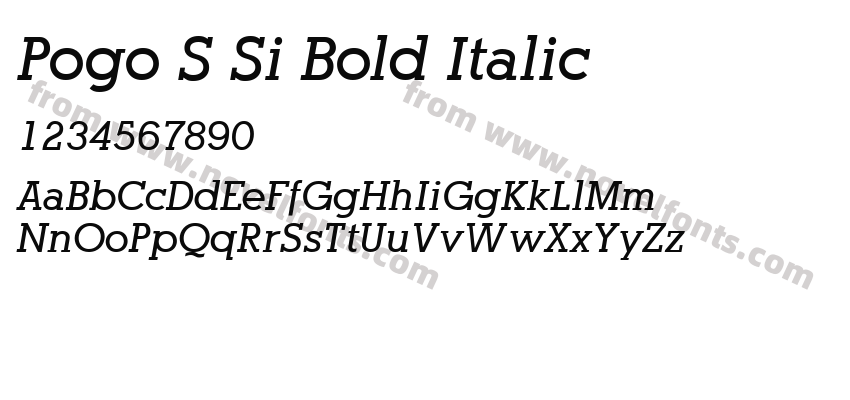 Pogo SSi Bold ItalicPreview