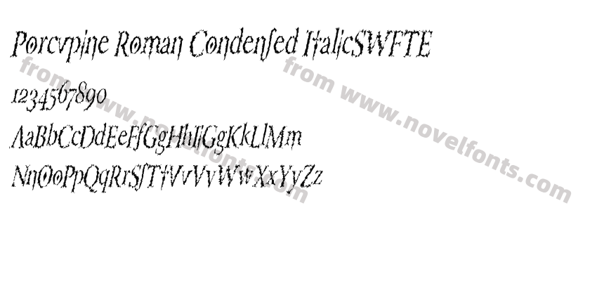 Porcupine Roman Condensed ItalicSWFTEPreview