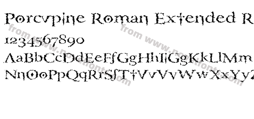 Porcupine Roman Extended RegularSWFTEPreview