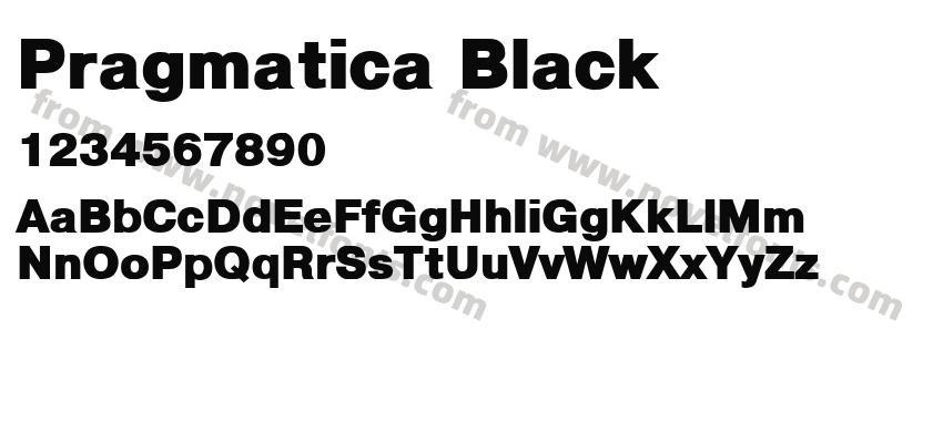 Pragmatica BlackPreview