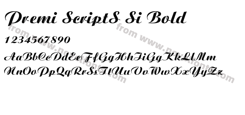 Premi ScriptS Si BoldPreview