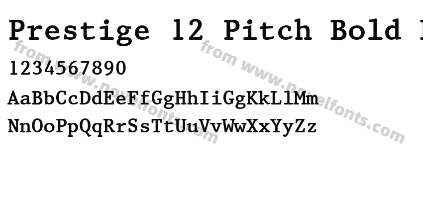 Prestige 12 Pitch Bold BTPreview