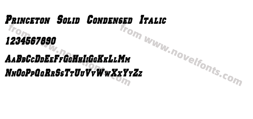 Princeton Solid Condensed ItalicPreview