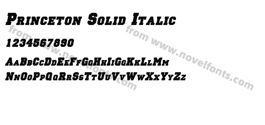 Princeton Solid ItalicPreview