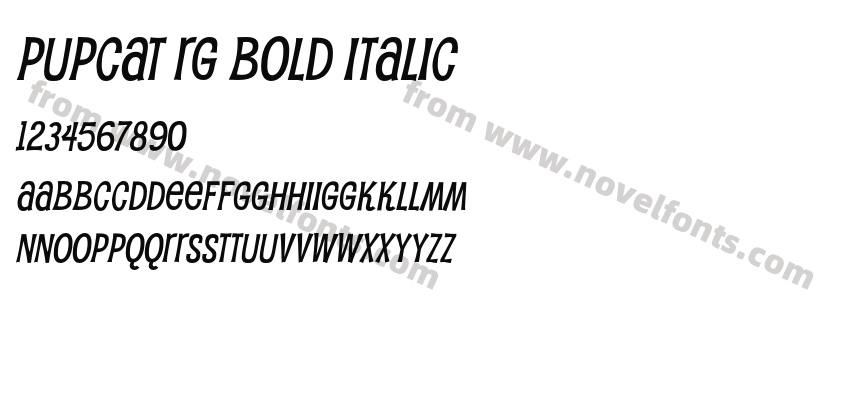 Pupcat Rg Bold ItalicPreview