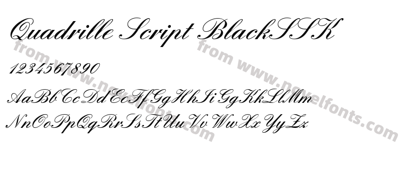 Quadrille Script BlackSSKPreview