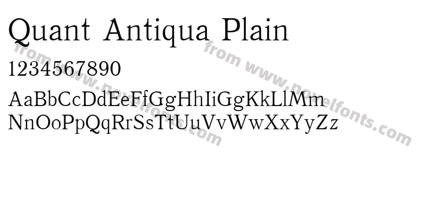 Quant Antiqua PlainPreview