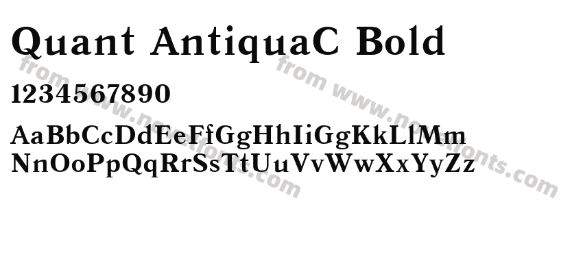 Quant AntiquaC BoldPreview