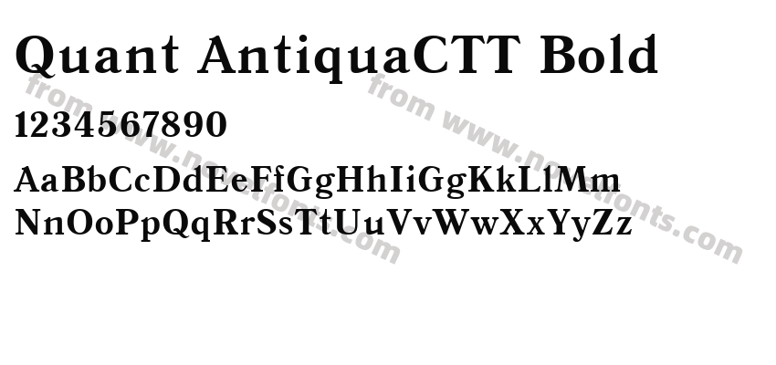 Quant AntiquaCTT BoldPreview